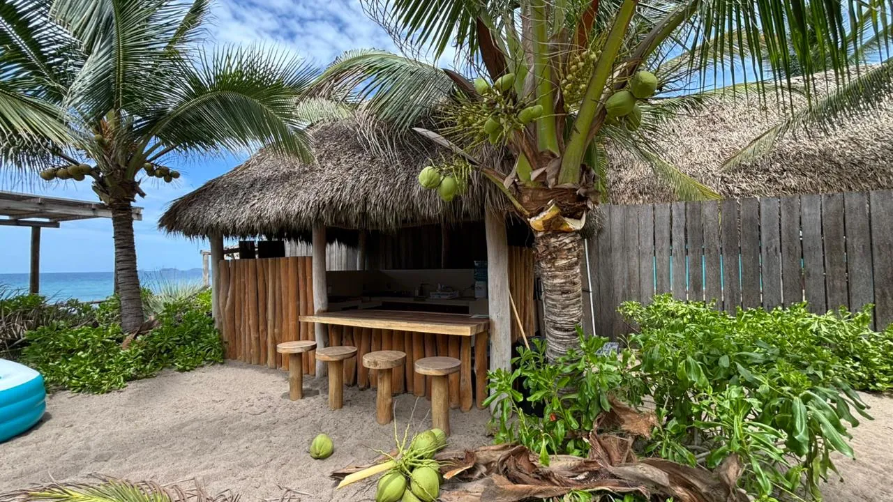 Cocineta compartida entre palmeras junto a la playa